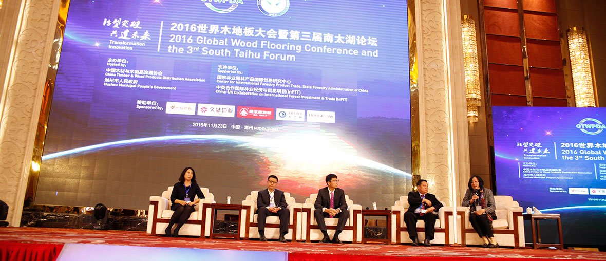海外林地投资经验分享 （现场图四）